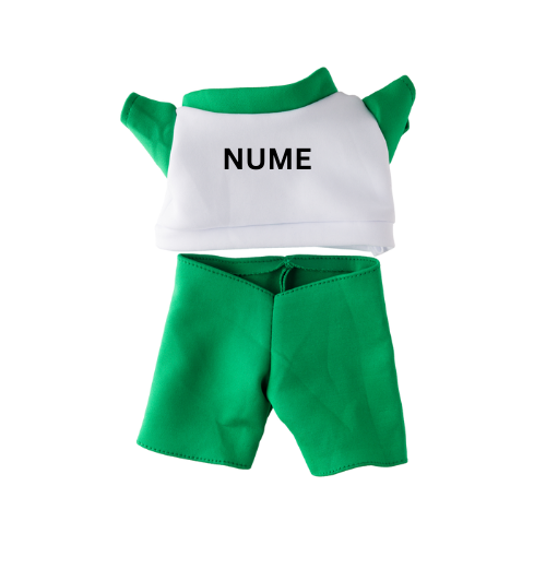 NUME-2