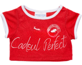 cadou-perfect