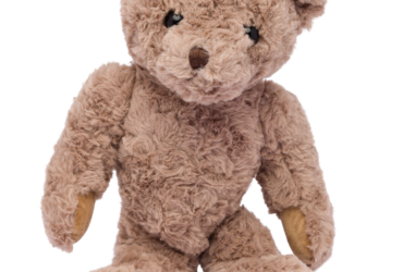 teddy02