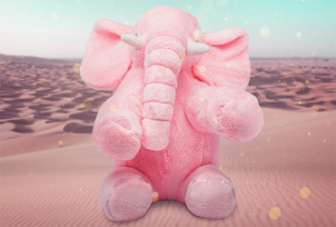 Ursuletul Tau_Plusuri_11