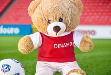 ursuletul-tau-plusuri-echipe-fotbalimage_O43