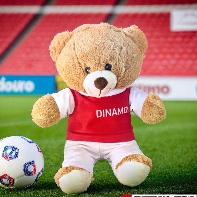 ursuletul-tau-plusuri-echipe-fotbalimage_O43