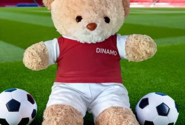 ursuletul-tau-plusuri-echipe-fotbalimage__E0