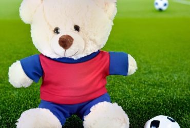 ursuletul-tau-plusuri-echipe-fotbalimage_oBC