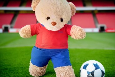 ursuletul-tau-plusuri-echipe-fotbalimage_pW2