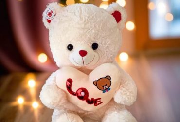 ursuletul-tau-plusuri-premiumimage_TFX