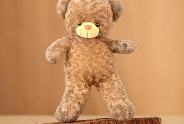 ursuletul-tau-plusuri-premiumimage_o0S