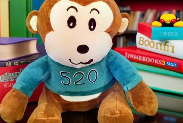 ursuletul-tau-plusuri-premiumimage_teL