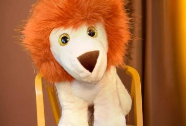 ursuletul-tau-plusuri-premiumimage_wr6