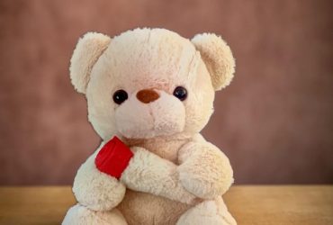 ursuletul-tau-plusuri-premiumursuletultau-premium