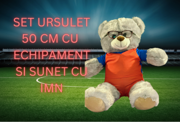 SET URSULET 50 CM CU ECHIPAMENT SI SUNET CU IMN
